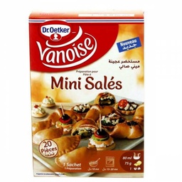 [03185] PREP MINI SALE VANOISE