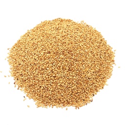 [2500391] SESAME GRL