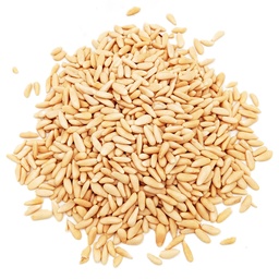 [2500375] PIGNON BALDI